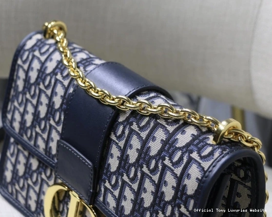 Tony Luxuries MONTAIGNECHAIN BAG 30 diro 0806